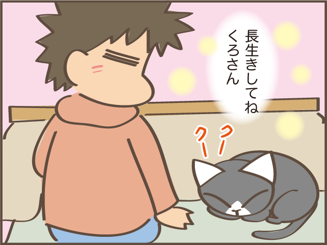 もしかして我慢させていた...？1匹になってしまった飼い猫の、私への態度の変化／しまえもん（9）