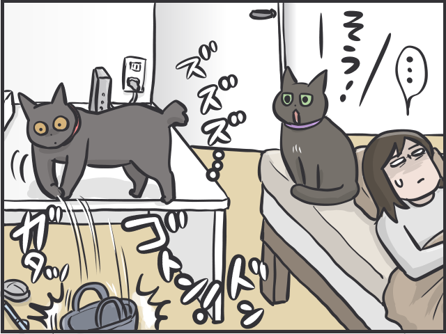 「超朝型」の猫たちが、飼い主にしかける「脅し」。猫と暮らすと嫌でも早起きになる理由／フニャコ（7）