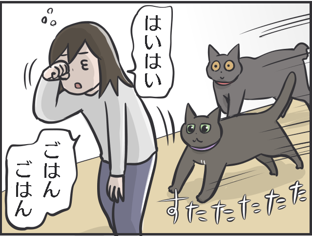 「超朝型」の猫たちが、飼い主にしかける「脅し」。猫と暮らすと嫌でも早起きになる理由／フニャコ（9）