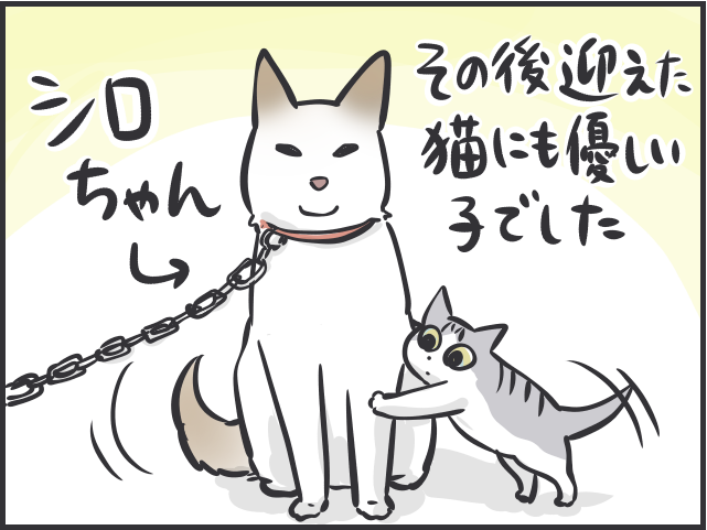 「猫は凶暴で懐かない」と思い込んでいた！ 元犬派の私が圧倒的猫派になったきっかけは／フニャコ（3）