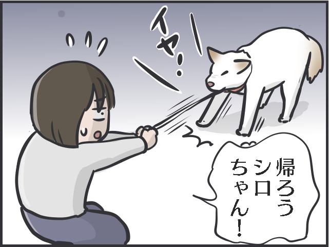 「猫は凶暴で懐かない」と思い込んでいた！ 元犬派の私が圧倒的猫派になったきっかけは／フニャコ（4）