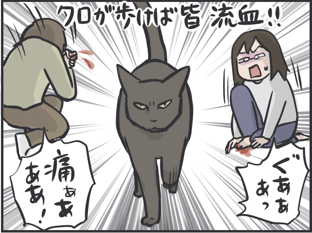 「猫は凶暴で懐かない」と思い込んでいた！ 元犬派の私が圧倒的猫派になったきっかけは／フニャコ（9）