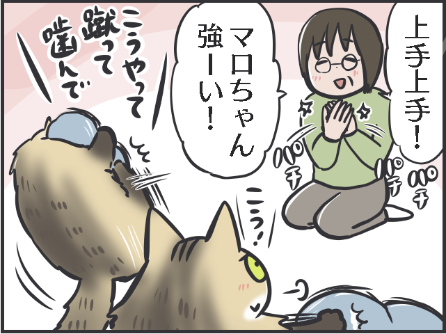 「褒めて伸ばす」は猫にも通用する!? 愛猫の一挙一動をとにかく褒めまくる母がすごい！／フニャコ（1）