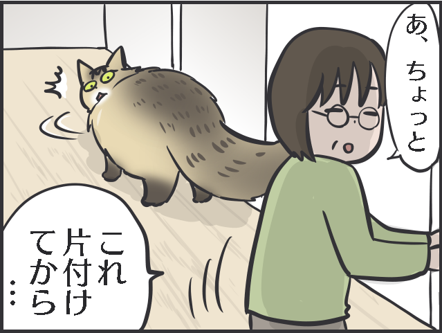 「褒めて伸ばす」は猫にも通用する!? 愛猫の一挙一動をとにかく褒めまくる母がすごい！／フニャコ（3）
