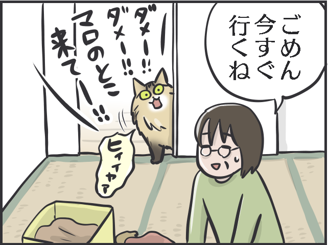 「褒めて伸ばす」は猫にも通用する!? 愛猫の一挙一動をとにかく褒めまくる母がすごい！／フニャコ（4）