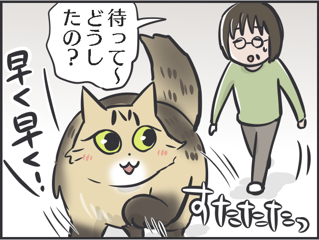 「褒めて伸ばす」は猫にも通用する!? 愛猫の一挙一動をとにかく褒めまくる母がすごい！／フニャコ（7）