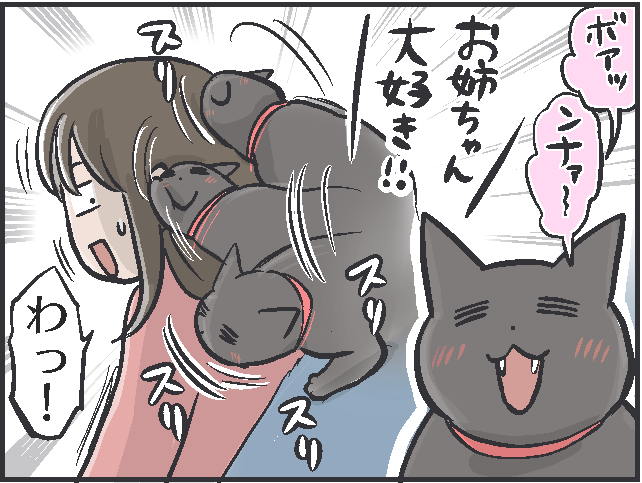 甘えたい時は寄ってきて、そうじゃない時は去っていく...猫の魅力はマイペースさにあり！／フニャコ（1）