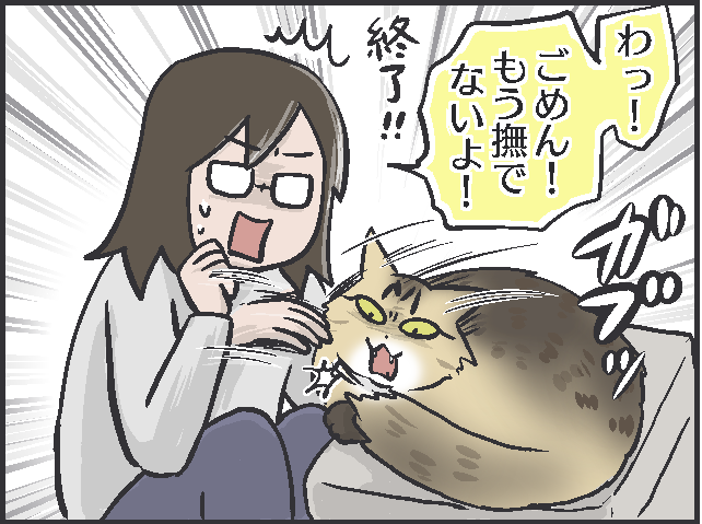 甘えたい時は寄ってきて、そうじゃない時は去っていく...猫の魅力はマイペースさにあり！／フニャコ（2）