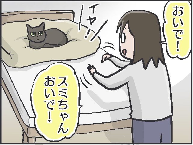甘えたい時は寄ってきて、そうじゃない時は去っていく...猫の魅力はマイペースさにあり！／フニャコ（3）