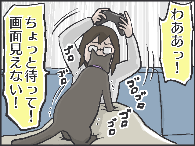 甘えたい時は寄ってきて、そうじゃない時は去っていく...猫の魅力はマイペースさにあり！／フニャコ（4）