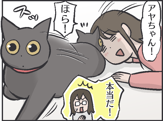 甘えたい時は寄ってきて、そうじゃない時は去っていく...猫の魅力はマイペースさにあり！／フニャコ（8）