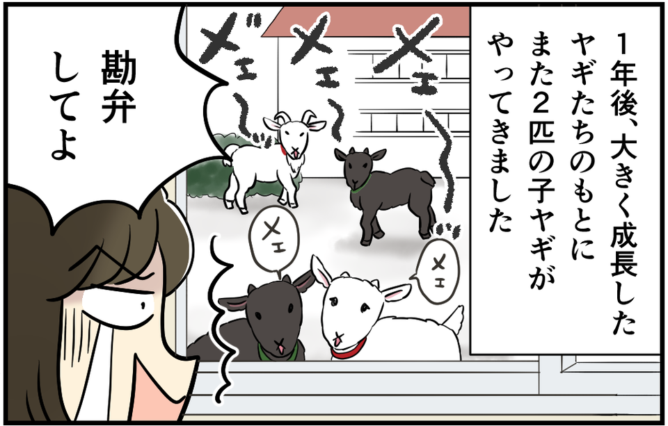 【騒音トラブル】早朝から響き渡る「声」に我慢の限界...私を追い詰めた騒音の「意外な正体」＜後編＞（1）