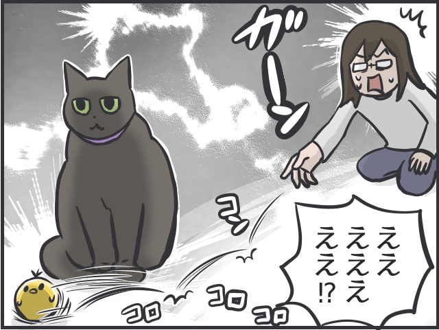 【2匹の黒猫とのくらし】「ああ、どうして」お気に入りだったおもちゃも「飽きる」猫たち／フニャコ（1）