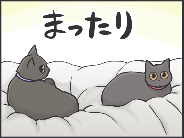 【2匹の黒猫とのくらし】「ああ、どうして」お気に入りだったおもちゃも「飽きる」猫たち／フニャコ（2）