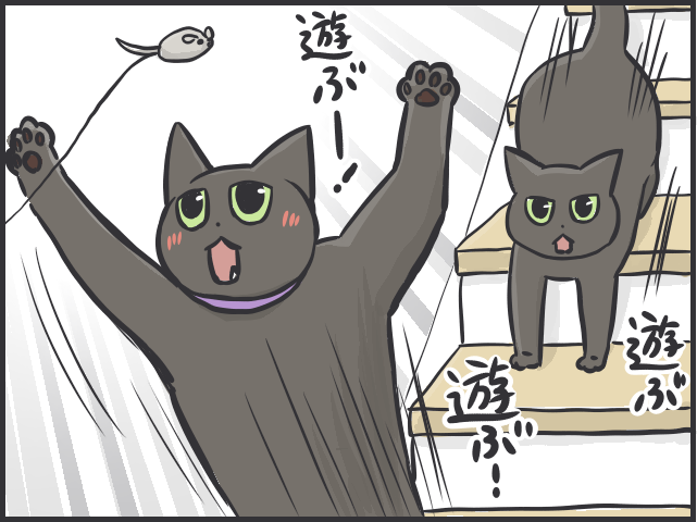 【2匹の黒猫とのくらし】「ああ、どうして」お気に入りだったおもちゃも「飽きる」猫たち／フニャコ（3）