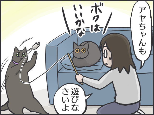 【2匹の黒猫とのくらし】「ああ、どうして」お気に入りだったおもちゃも「飽きる」猫たち／フニャコ（4）