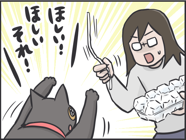 【2匹の黒猫とのくらし】「ああ、どうして」お気に入りだったおもちゃも「飽きる」猫たち／フニャコ（8）