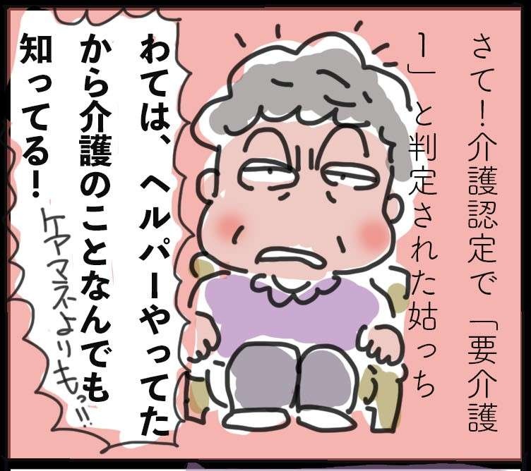 【ヘルパー発介護のあれこれ】ケアマネの話を聞かない姑に嫁は～介護サービス利用開始～／ゆらりゆうら（1）