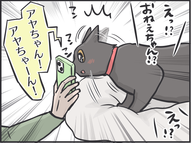 【2匹の黒猫とのくらし】大学生になり家を離れた娘。娘大好きな猫に、電話の声を聞かせたら／フニャコ（1）