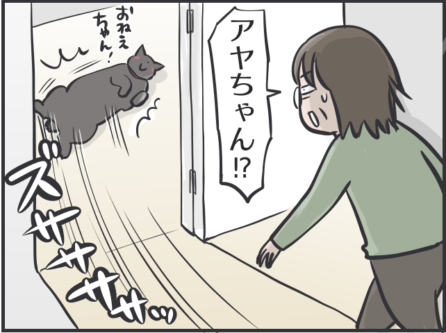 【2匹の黒猫とのくらし】大学生になり家を離れた娘。娘大好きな猫に、電話の声を聞かせたら／フニャコ（6）