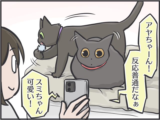【2匹の黒猫とのくらし】大学生になり家を離れた娘。娘大好きな猫に、電話の声を聞かせたら／フニャコ（9）