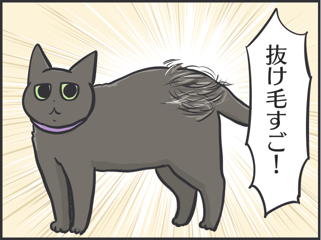 【2匹の黒猫とのくらし】ちょっと撫でただけで大量の抜け毛！ 換毛期はブラッシングも一苦労／フニャコ（1）