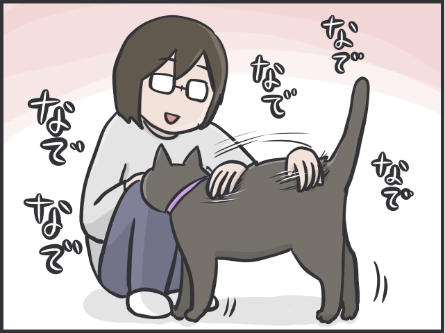 【2匹の黒猫とのくらし】ちょっと撫でただけで大量の抜け毛！ 換毛期はブラッシングも一苦労／フニャコ（2）