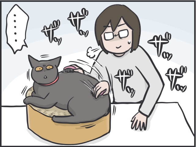 【2匹の黒猫とのくらし】ちょっと撫でただけで大量の抜け毛！ 換毛期はブラッシングも一苦労／フニャコ（4）