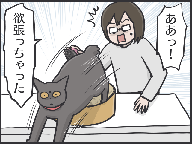 【2匹の黒猫とのくらし】ちょっと撫でただけで大量の抜け毛！ 換毛期はブラッシングも一苦労／フニャコ（5）