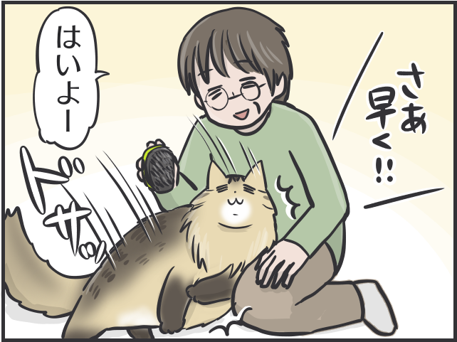 【2匹の黒猫とのくらし】ちょっと撫でただけで大量の抜け毛！ 換毛期はブラッシングも一苦労／フニャコ（8）