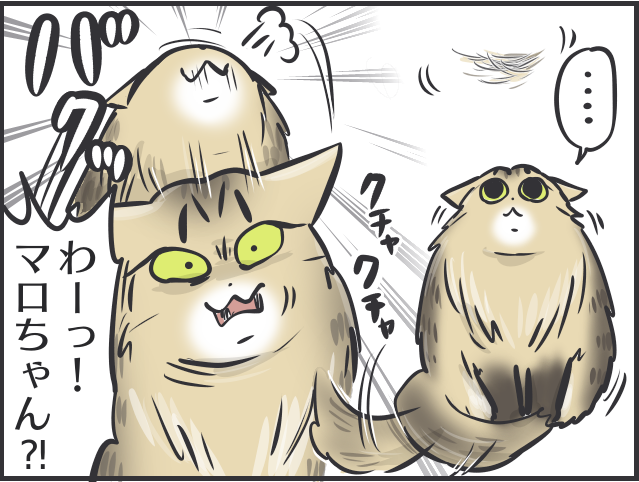 【2匹の黒猫とのくらし】ちょっと撫でただけで大量の抜け毛！ 換毛期はブラッシングも一苦労／フニャコ（9）