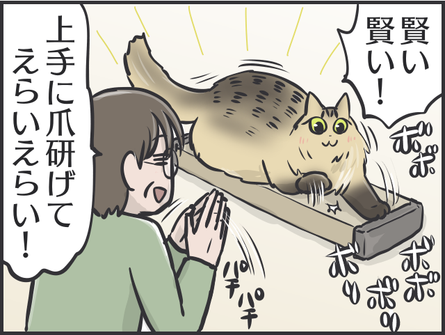 呆れるほどの猫バカっぷり！猫は一人暮らしの母の生活を豊かにしてくれる良き相棒／フニャコ（1）