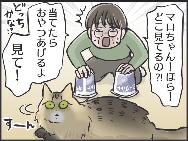 呆れるほどの猫バカっぷり！猫は一人暮らしの母の生活を豊かにしてくれる良き相棒／フニャコ（4）