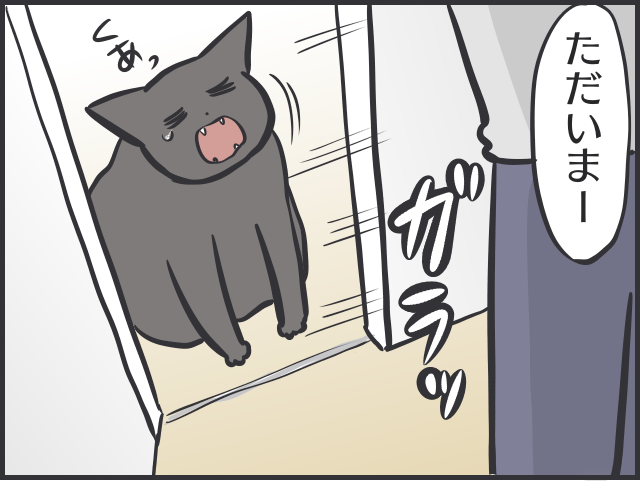 寄ってくるのはご飯の時だけ！塩対応すぎる猫たちに内心やきもきすることも／フニャコ（2）