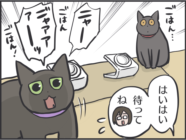 寄ってくるのはご飯の時だけ！塩対応すぎる猫たちに内心やきもきすることも／フニャコ（3）