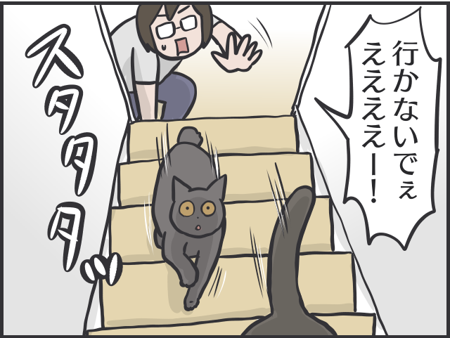 寄ってくるのはご飯の時だけ！塩対応すぎる猫たちに内心やきもきすることも／フニャコ（4）
