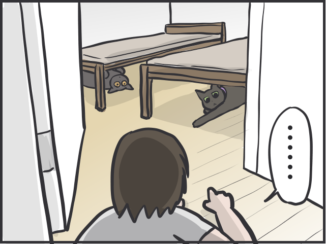 寄ってくるのはご飯の時だけ！塩対応すぎる猫たちに内心やきもきすることも／フニャコ（5）