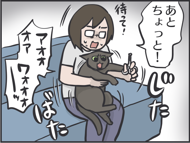 寄ってくるのはご飯の時だけ！塩対応すぎる猫たちに内心やきもきすることも／フニャコ（7）