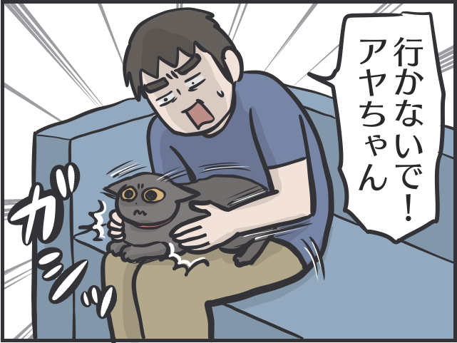 寄ってくるのはご飯の時だけ！塩対応すぎる猫たちに内心やきもきすることも／フニャコ（8）