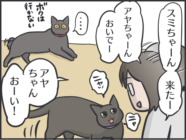 寄ってくるのはご飯の時だけ！塩対応すぎる猫たちに内心やきもきすることも／フニャコ（9）