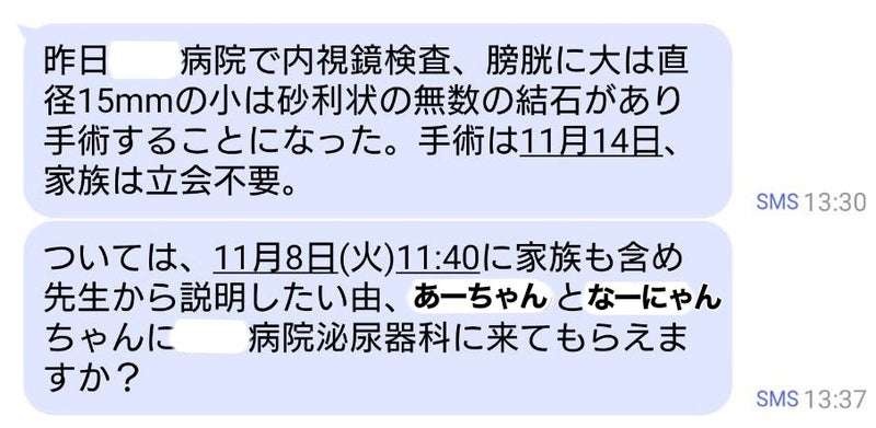 「勝手にポックリ逝く！」と啖呵を切っていた父だけど、ついに家族に頼らざるを得ない時が...／ワフウフ（2）