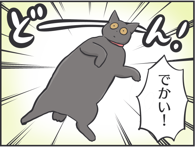 食いしん坊の愛猫が巨大化！ 多頭飼い猫の食事量コントロールって難しい／フニャコ（1）