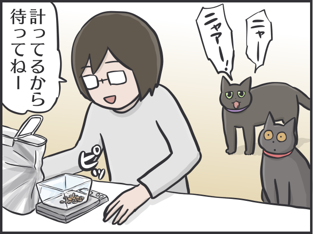 食いしん坊の愛猫が巨大化！ 多頭飼い猫の食事量コントロールって難しい／フニャコ（4）