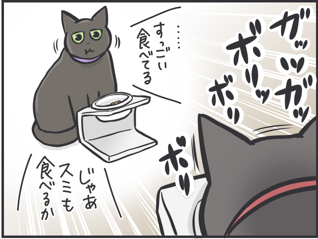食いしん坊の愛猫が巨大化！ 多頭飼い猫の食事量コントロールって難しい／フニャコ（7）