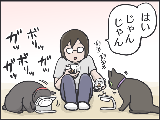 食いしん坊の愛猫が巨大化！ 多頭飼い猫の食事量コントロールって難しい／フニャコ（8）
