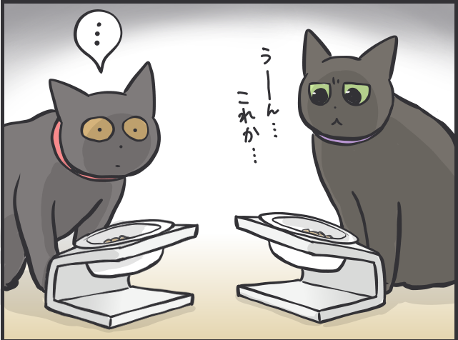 食いしん坊の愛猫が巨大化！ 多頭飼い猫の食事量コントロールって難しい／フニャコ（9）