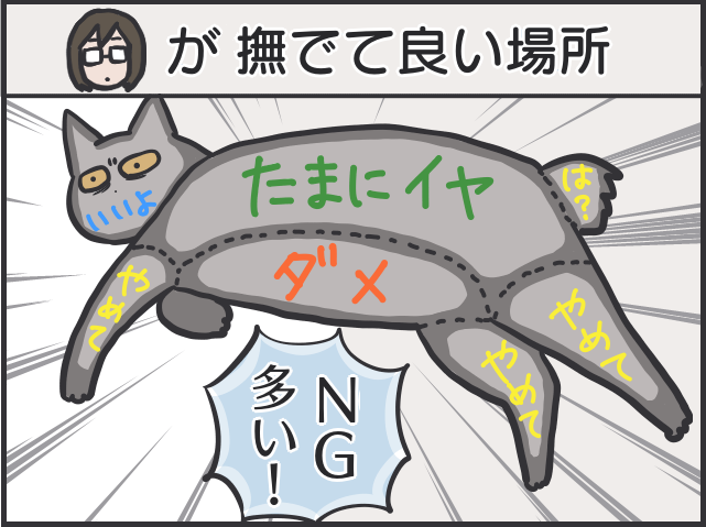 愛猫のお腹を撫でたいのに...娘に優しく、私に厳しい愛猫／フニャコ（1）