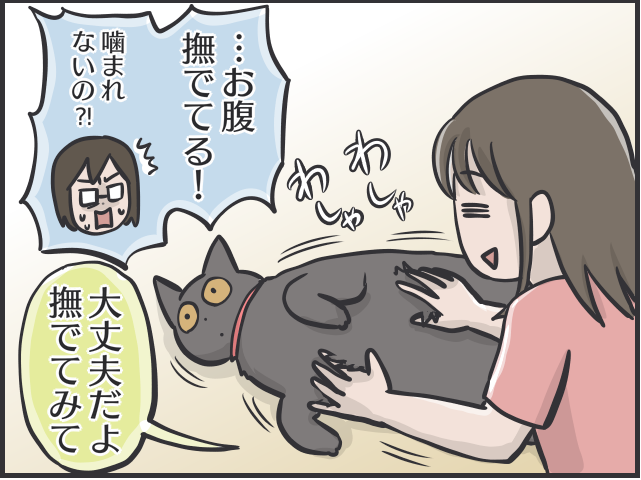 愛猫のお腹を撫でたいのに...娘に優しく、私に厳しい愛猫／フニャコ（3）