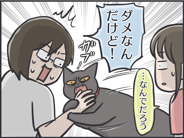 愛猫のお腹を撫でたいのに...娘に優しく、私に厳しい愛猫／フニャコ（4）
