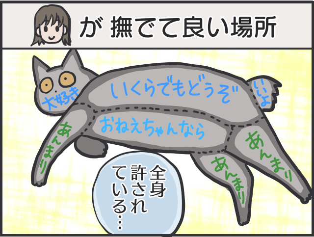 愛猫のお腹を撫でたいのに...娘に優しく、私に厳しい愛猫／フニャコ（5）